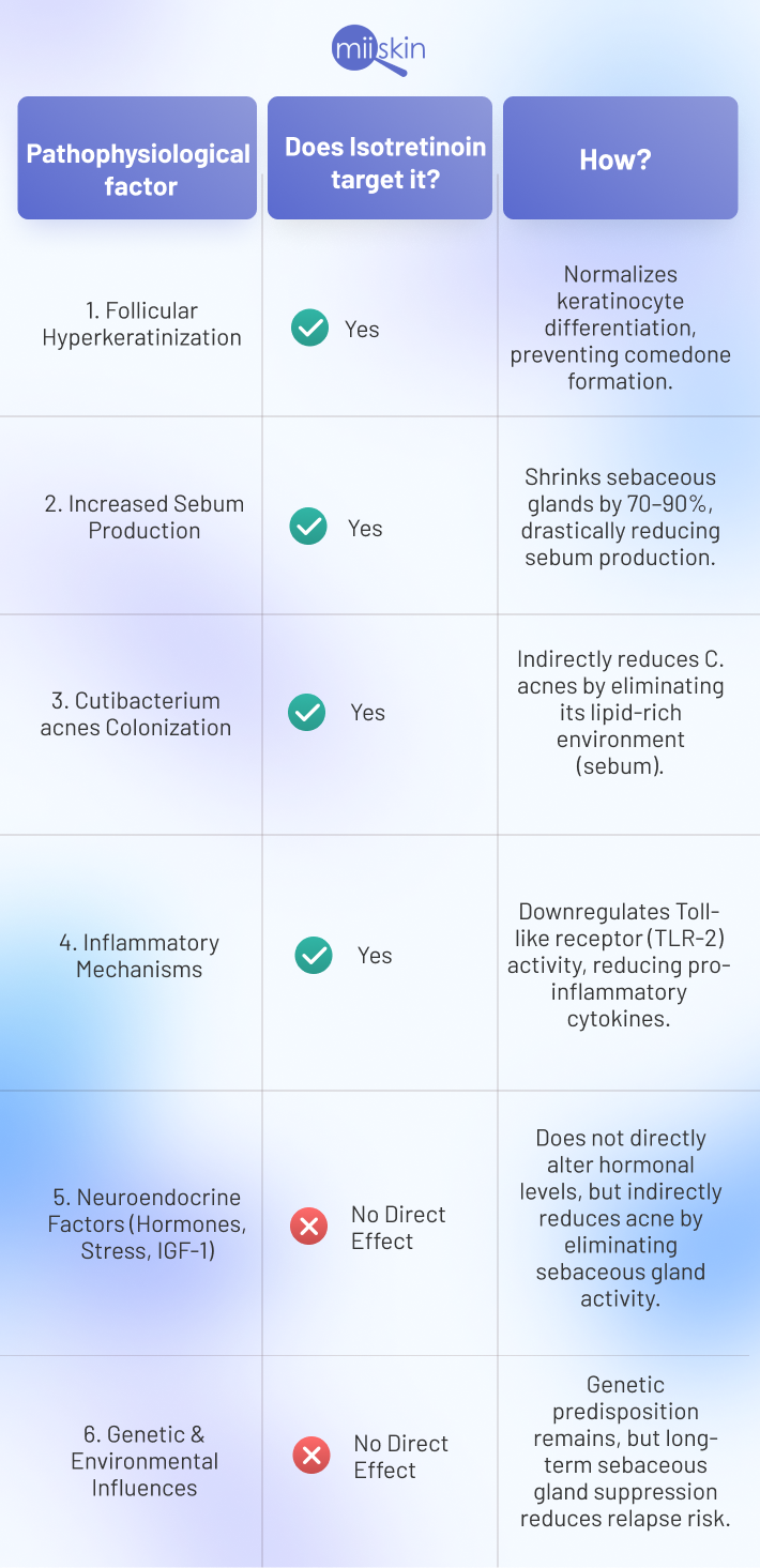 How does isotretinoin function